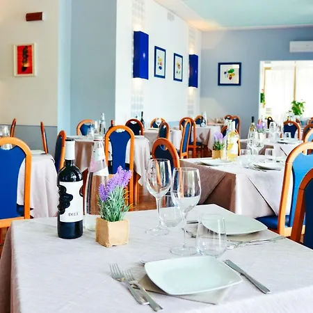 Отель Domingo 3*