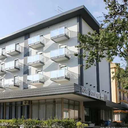Hotel Domingo 3*